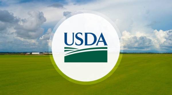 Штучний інтелект допоможе USDA точніше прогнозувати врожай