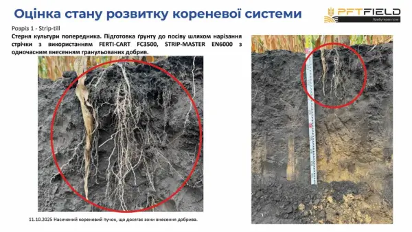Збільшення врожайності кукурудзи: як вибір системи обробітку ґрунту впливає на прибуток 10