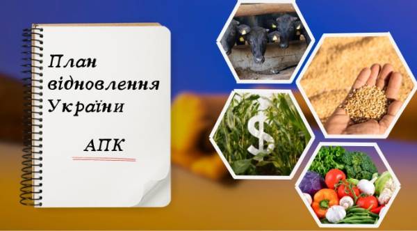 Інвестори оцінили перспективи відновлення агросектору в умовах війни