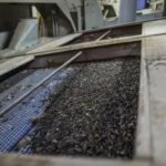 Туреччина зупинила імпорт соняшнику, ринок під загрозою