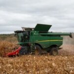 Аграрії України зібрали 1,6 мільйона тонн кукурудзи