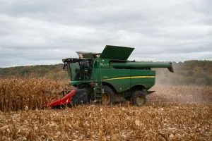Аграрії України зібрали 1,6 мільйона тонн кукурудзи