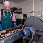 Фермерам України: збільшуємо площі під вирощування хрону