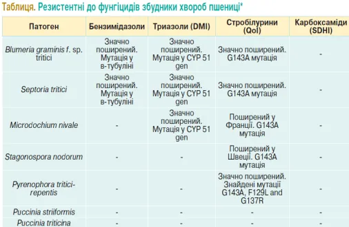 Протруювання озимої пшениці: захист від хвороб та шкідників перед посівом 12 Протруювання озимої пшениці: захист від хвороб та шкідників перед посівом 12