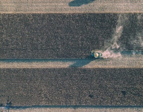Kernel та NASA оцінили ефективність супутникового моніторингу сівозміни на 87 полях
