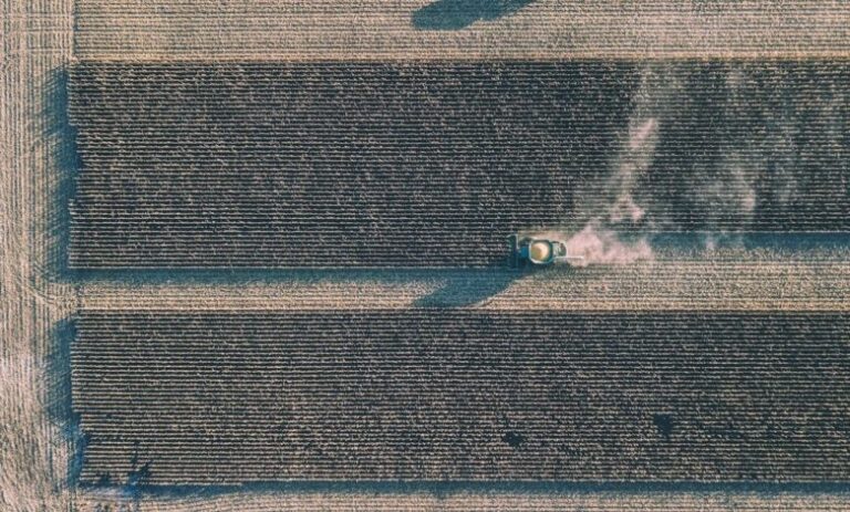 Kernel та NASA оцінили ефективність супутникового моніторингу сівозміни на 87 полях 3