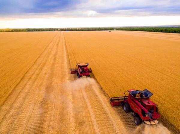 Українські аграрії платять на 68% більше за комбайни