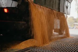 Держгарантії: аграріїв чекають нові умови кредитування