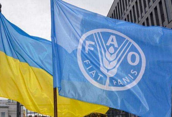Україна пропонує ФАО екстрено обговорити зерновий коридор